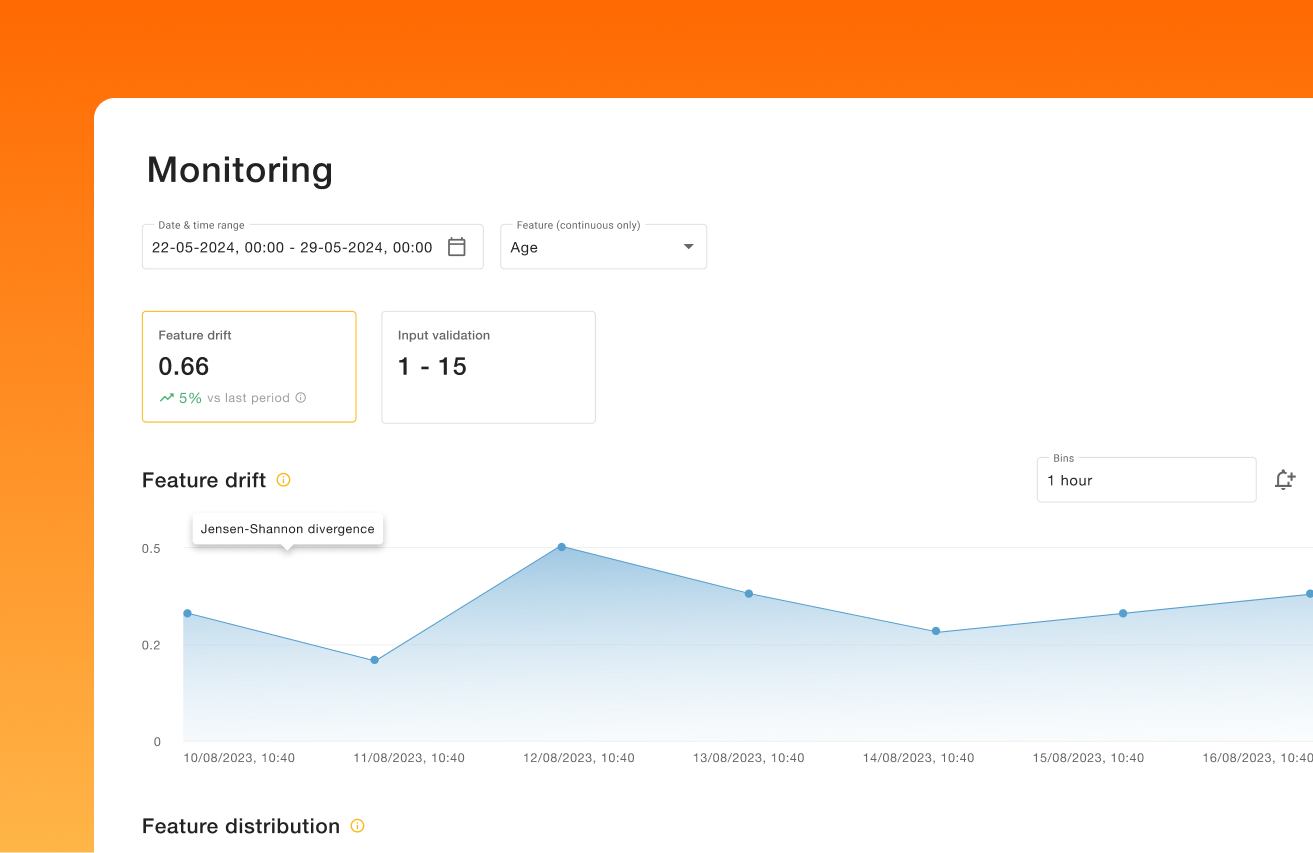 Drift Monitoring Feature Drift
